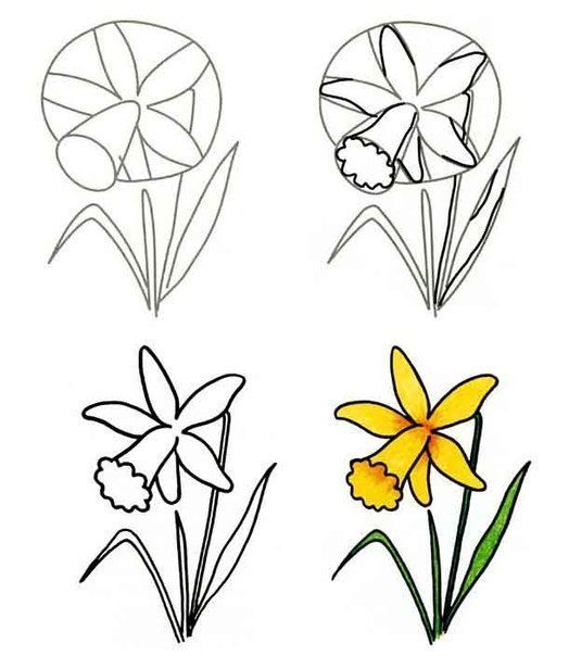 Blumenbilder Zeichnen