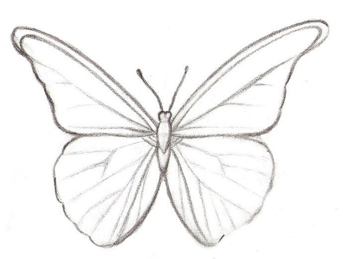 Schmetterling einfach zeichnen - Tutorial | DekoKing - DIY