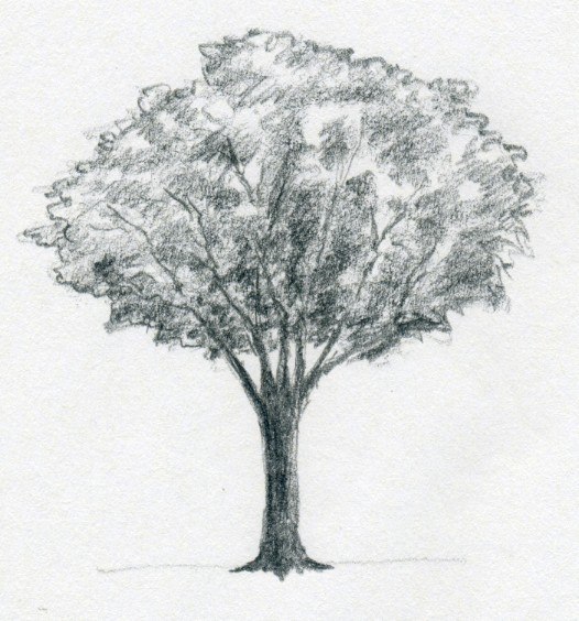 Der Baum selber malen DekoKing DIY Bastelideen
