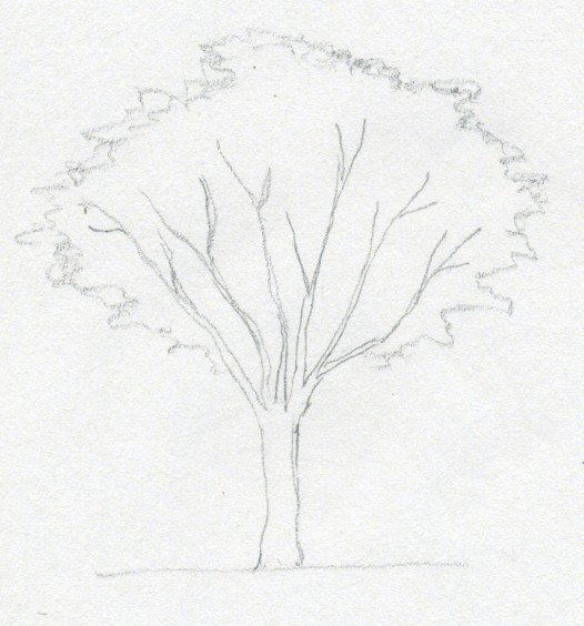 Der Baum Selber Malen Anleitung Dekoking Diy Mehr