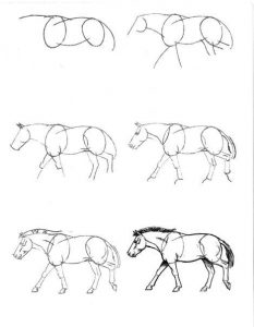 Ein Pferd zeichnen-dekoking.com-2
