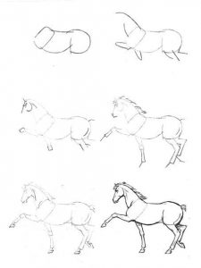 Ein Pferd zeichnen-dekoking.com-3