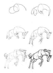Ein Pferd zeichnen-dekoking.com-5