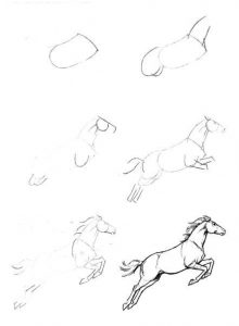 Ein Pferd zeichnen-dekoking.com