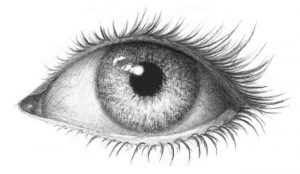 Augen Zeichnen-dekoking.com-5