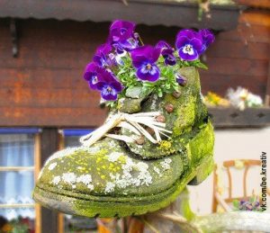 Bepflanzte Schuhe - Kreative Gartendekoration-dekoking.com-4