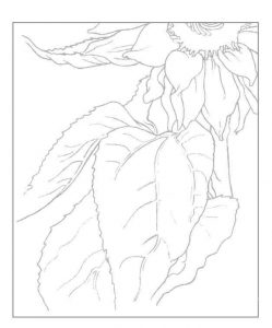 Sonnenblume zeichnen - Anleitung - Blumen zeichnen lernen-dekoking-com-3