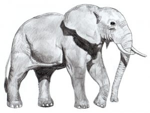 Wie malt man einen Elefanten - Anleitung-dekoking
