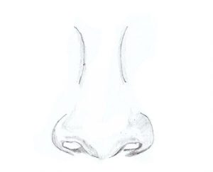 Wie zeichnet man eine Nase - Nase zeichnen lernen-dekoking-3