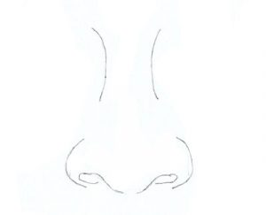 Wie zeichnet man eine Nase - Nase zeichnen lernen-dekoking-4