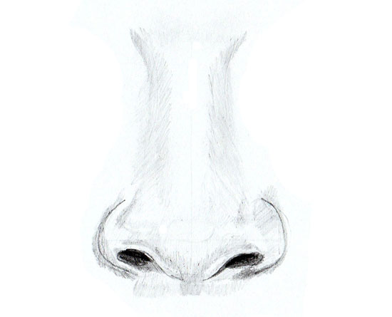 Wie zeichnet man eine Nase - Nase zeichnen lernen-dekoking