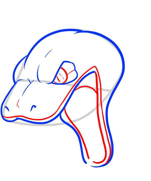 Einen Schlangenkopf zeichnen-dekoking-com-1