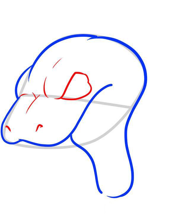Einen Schlangenkopf zeichnen-dekoking-com-5