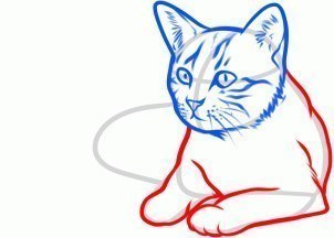 Katze zeichnen lernen-dekoking-com-1