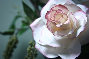 Wunderschöne Rosen aus Kaffeefiltern basteln - Anleitung-dekoking-com-5