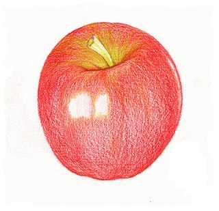 Apfel zeichnen lernen für Anfänger-dekoking-com-1