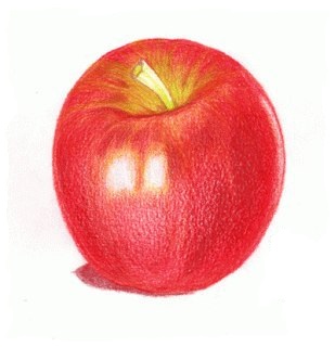 Apfel zeichnen lernen für Anfänger-dekoking-com-3