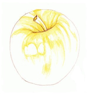 Apfel zeichnen lernen für Anfänger-dekoking-com-5