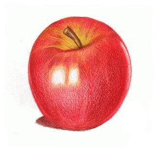 Apfel zeichnen lernen für Anfänger-dekoking-com-6