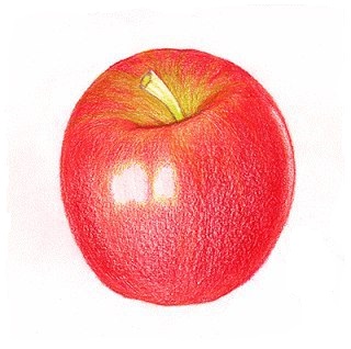 Apfel zeichnen lernen für Anfänger-dekoking-com-7