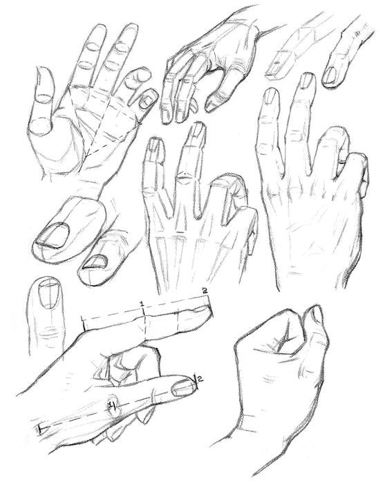 Hände zeichnen lernen für Anfänger-dekoking-com-2