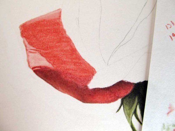 Wie zeichnet man eine Rose - Anleitung - Rose einfach malen-dekoking-com-2
