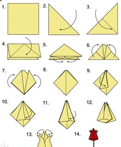 Origami Tulpen falten - Anleitung-dekoking-com-1