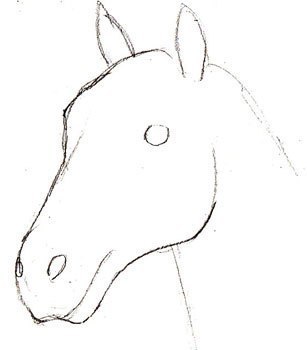 pferd-realistisch-zeichnen-dekoking-com-2