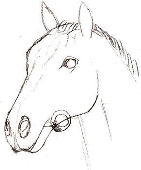 pferd-realistisch-zeichnen-dekoking-com-3