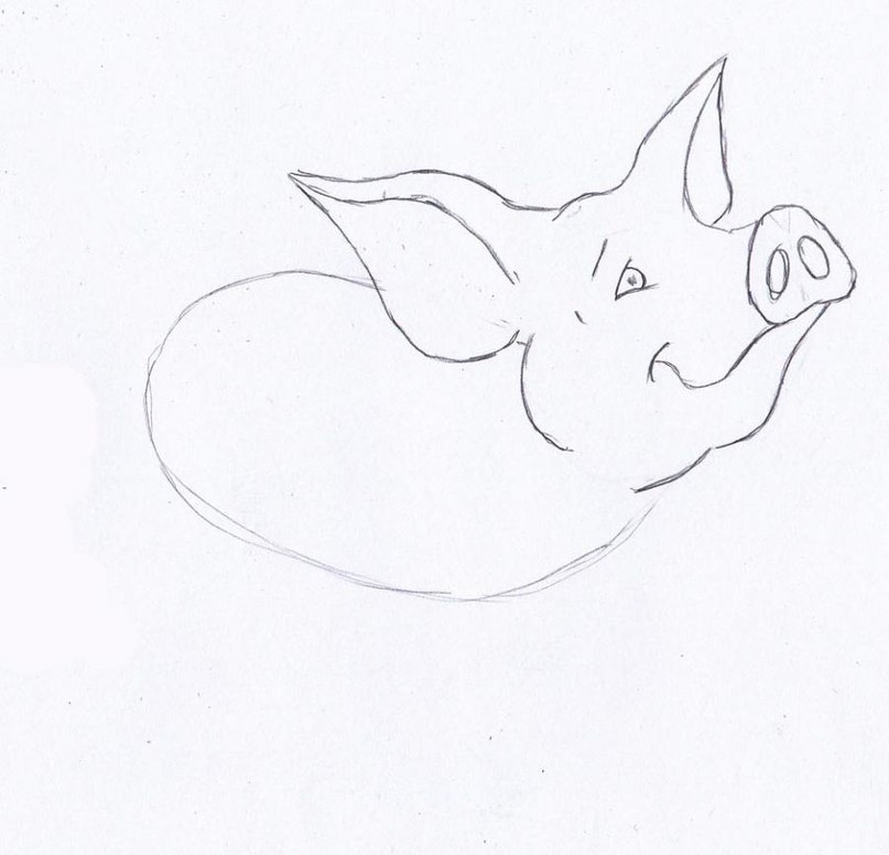 ein-schwein-zeichnen-lernen-dekoking-com-2