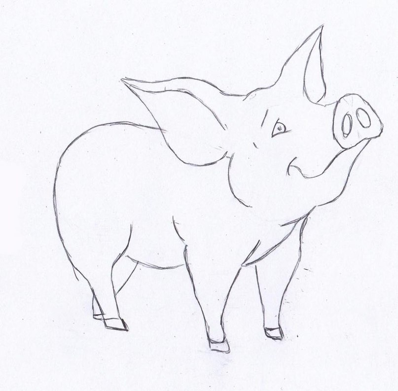 ein schwein zeichnen lernen  tutorial  dekoking  diy  mehr