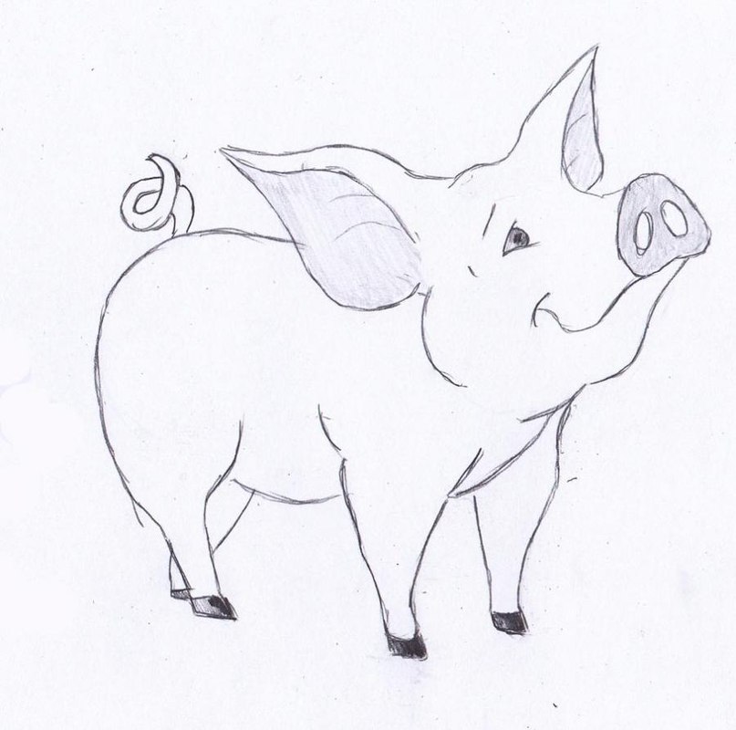 ein-schwein-zeichnen-lernen-dekoking-com