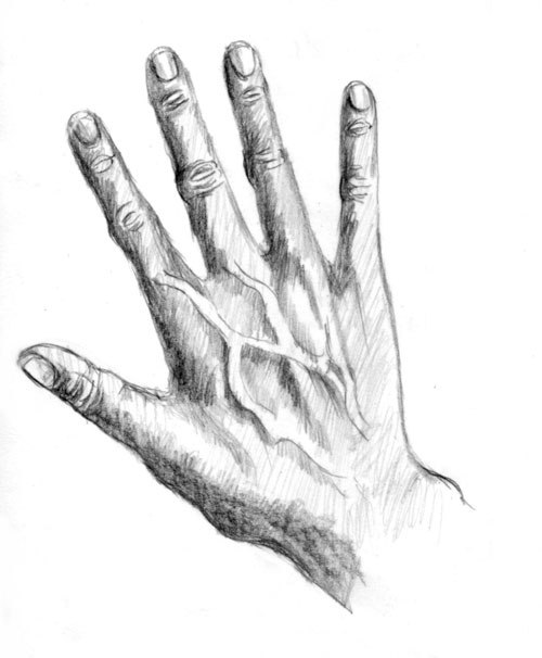 hand-realistisch-zeichnen-dekoking-com-2