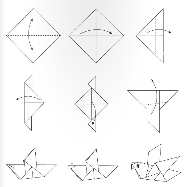 Origami Papagei falten - DekoKing - DIY Bastelideen, Dekoideen