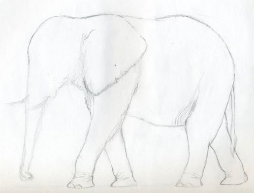 elefant-einfach-zeichnen-dekoking-com-3