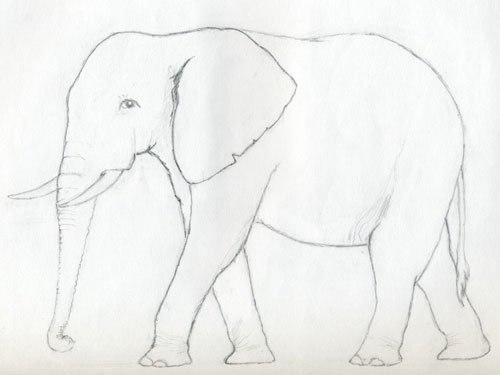 Elefant einfach zeichnen ⋆ DekoKing - DIY Bastelideen, Dekoideen