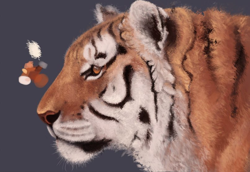 tiger-realistisch-malen-dekoking-com-1