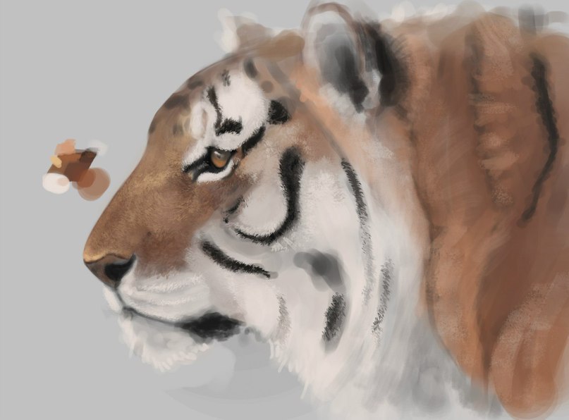 tiger-realistisch-malen-dekoking-com-2