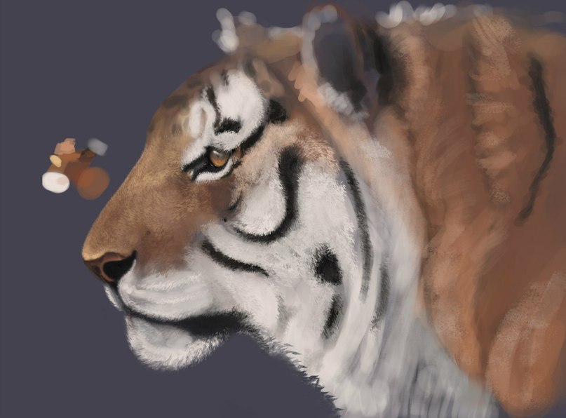tiger-realistisch-malen-dekoking-com-6