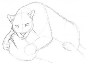 jaguar-zeichnen-schritt-fuer-schritt-dekoking-com-8
