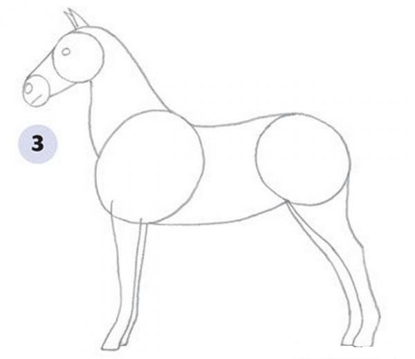 pferd-zeichnen-lernen-dekoking-com-3