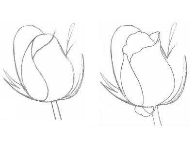 Rose Mit Bleistift Einfach Zeichnen Tutorial Dekoking Diy Wichtig ist einen bleistift zu verwenden der relativ fein ist und dass man nur so leicht wie moeglich aufdrueckt. rose mit bleistift einfach zeichnen