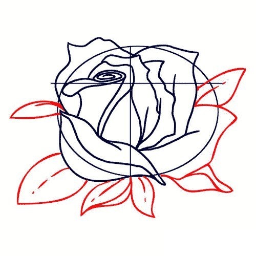 weisse-rose-zeichnen-dekoking-com