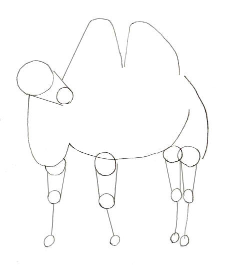 kamel-zeichnen-lernen-dekoking-com-3