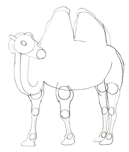 kamel-zeichnen-lernen-dekoking-com-4