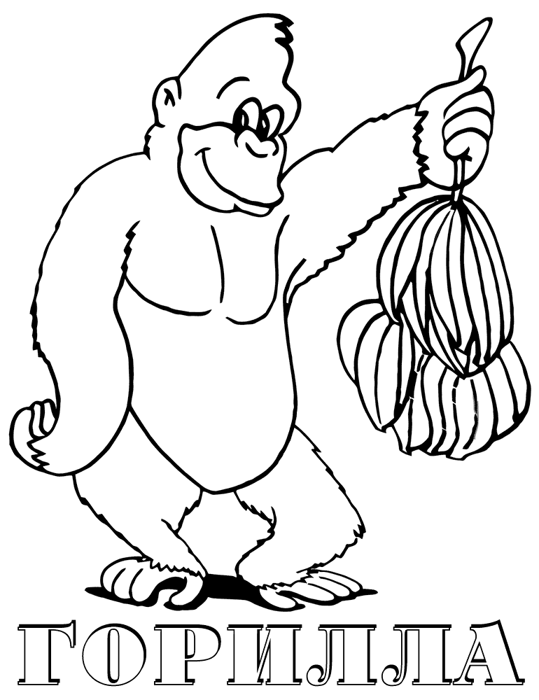 gorilla-ausmalbilder-dekoking-com-3