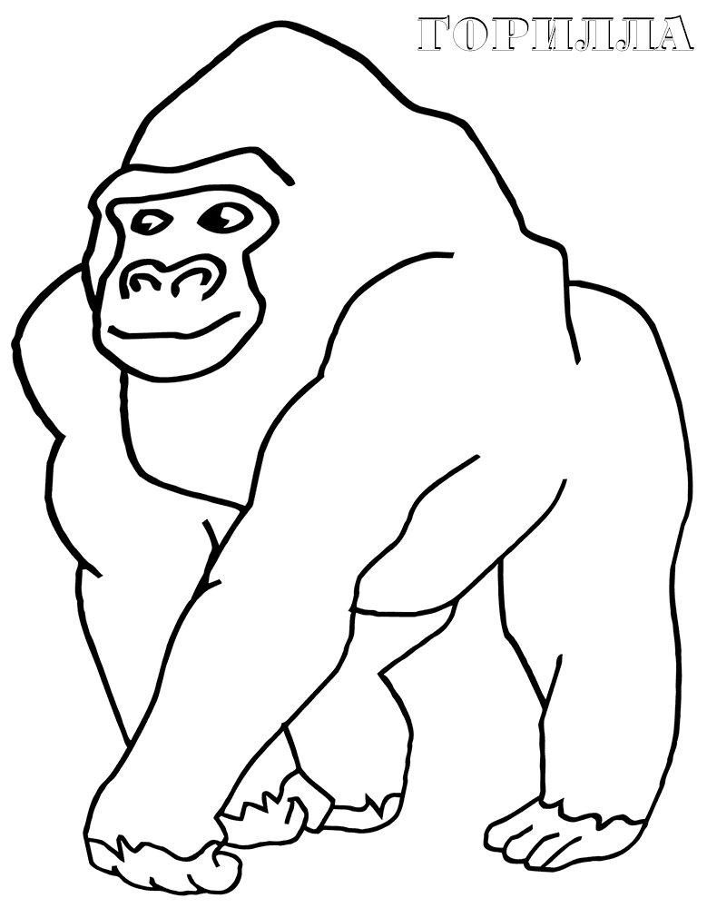 gorilla ausmalbilder  dekoking  diy bastelideen