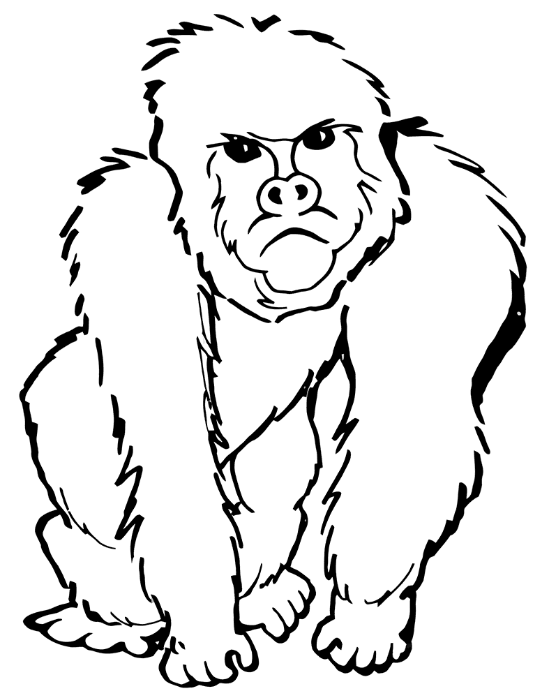 gorilla-ausmalbilder-dekoking-com-7