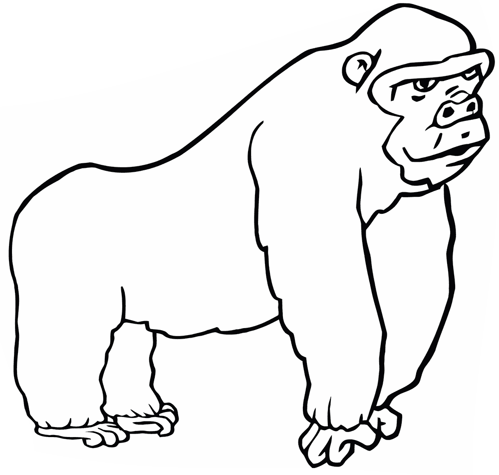 gorilla-ausmalbilder-dekoking-com-8