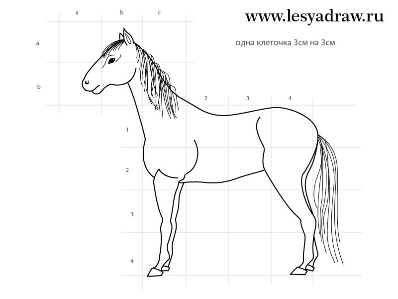 pferd-selber-zeichnen-dekoking-com-1